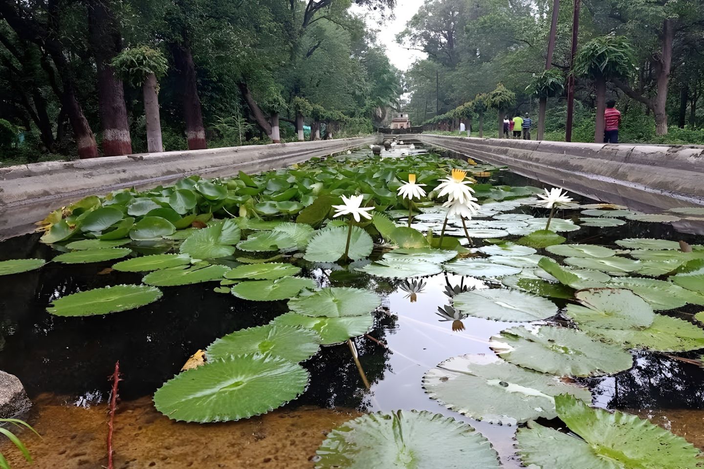 Himayat Bagh, Aurangabad